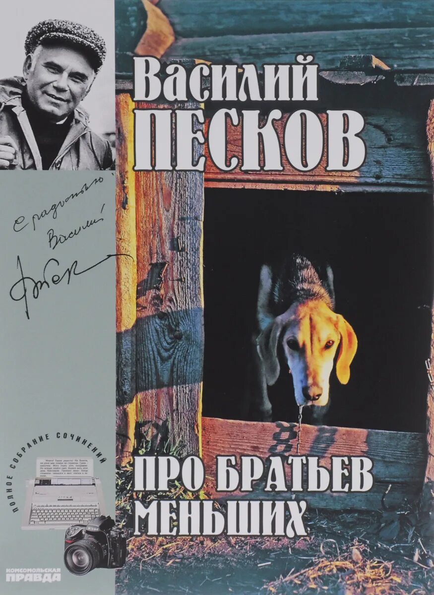 Песков в. Произведение пескова. Произведение пескова. Произведение пескова. Книги пескова.