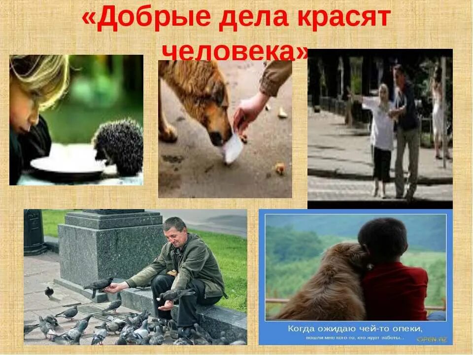 Добро к животным пример из литературы. Про доброту и добрые поступки. доброта картинки. добрые дела и поступки. хорошие и добрые поступки.