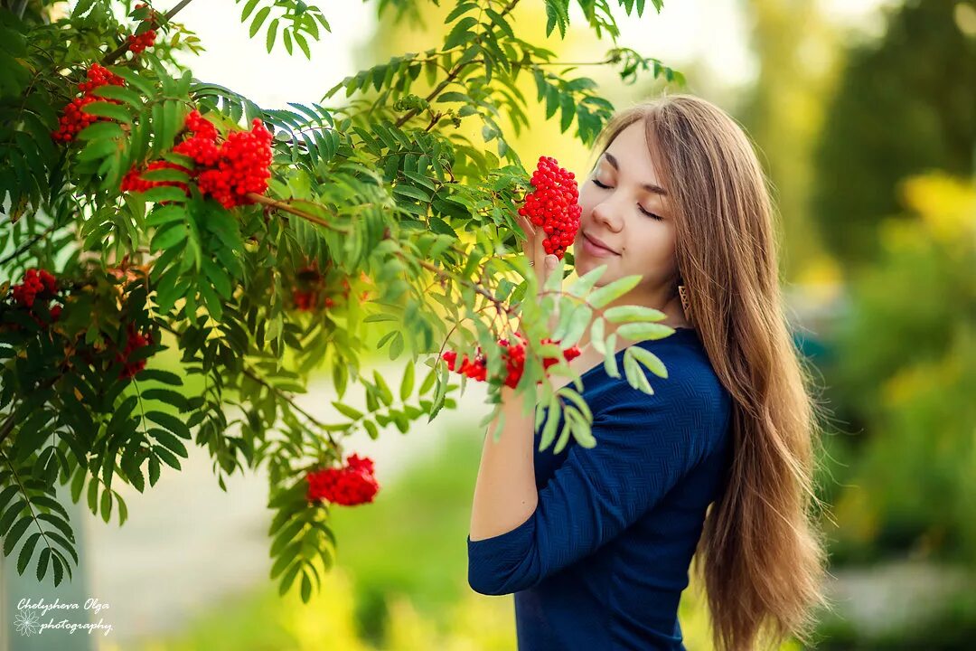 Обниму я куст рябины. Осень любовь. Обниму я куст рябины. А рябина красная а калина красная. Суручану куст рябины.