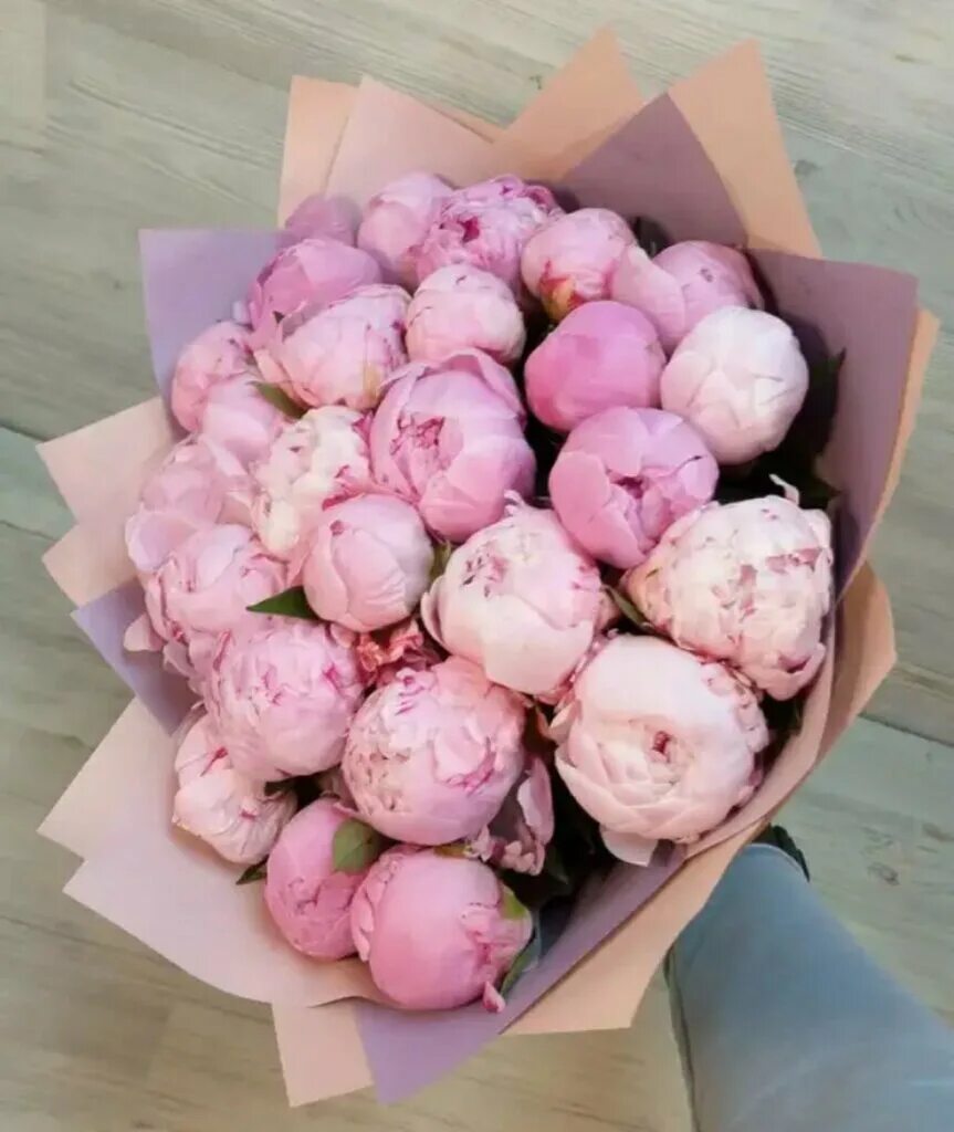 пионы нераспустившиеся букет. пионы помпонные. букет с пионами. почему пионы такие дорогие. почему пионы такие дорогие.