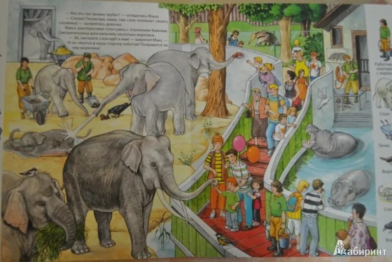 Рисуем животных зоопарка. Зоопарк рисунок. Дети в зоопарке. Композиция зоопарк. Рисунок на тему зоопарк.