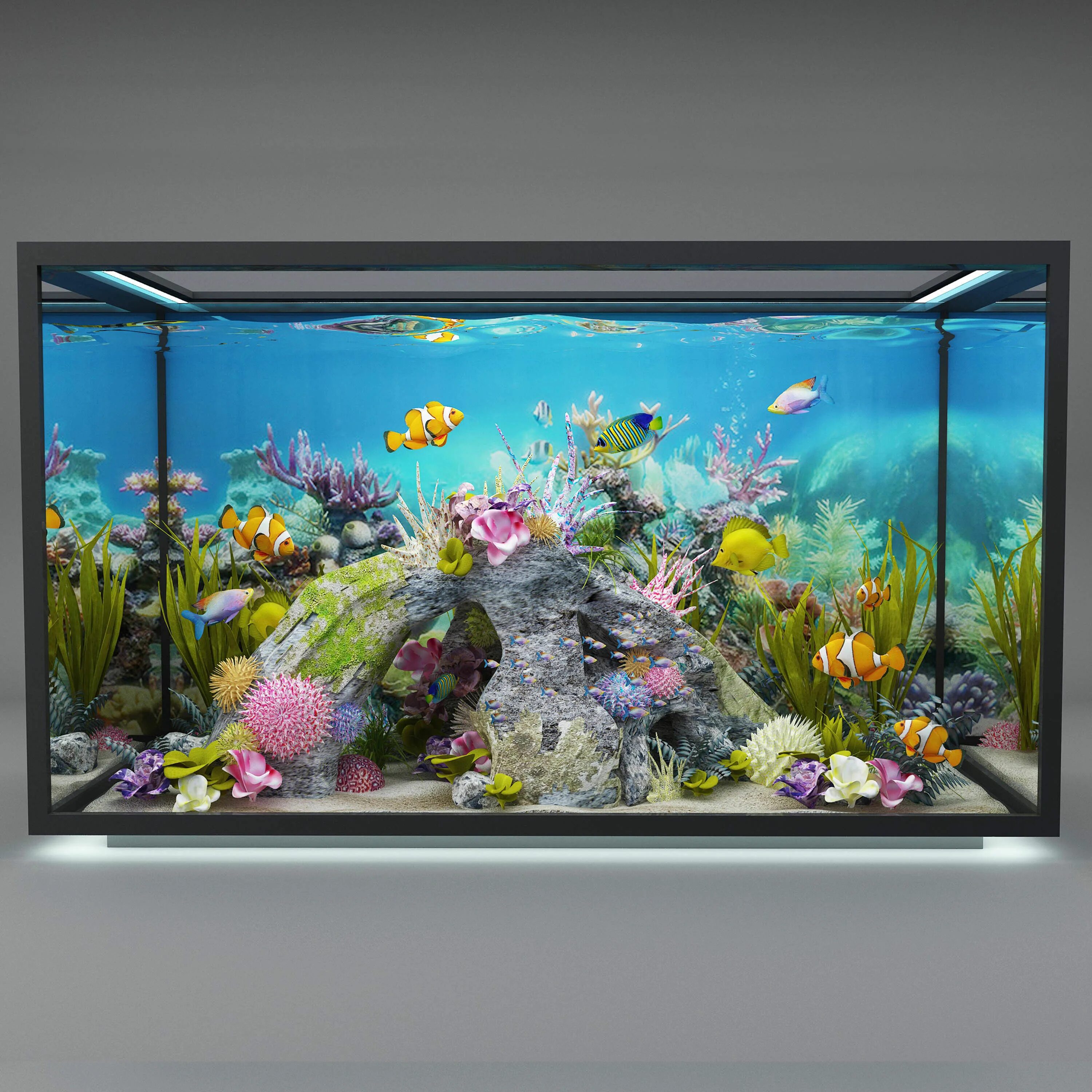 Aquarium 3