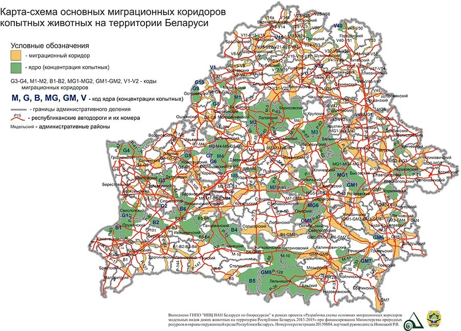 Карты принимаемые в белоруссии. Карта автомобильных дорог Белоруссии. Карта автомобильных дорог Беларуси подробная. Карта Беларуси с дорогами автомобильная. Карта автомобильных дорог Республики Беларусь.