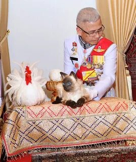Королевские дзен