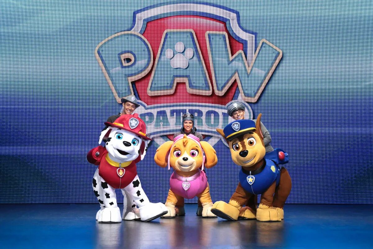 Paw Patrol. Paw Patrol Live. Шоу Щенячий патруль. Щенячий патруль город. Щенячий патруль в городе приключений