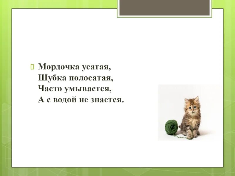 Часто умывается а с водой не знается. Мордочка усатая шубка полосатая часто умывается а с водой не знается. Мордочка усатая шубка полосатая загадка. Часто умывается а с водой не. Часто умывается а с водой не знается отгадка.