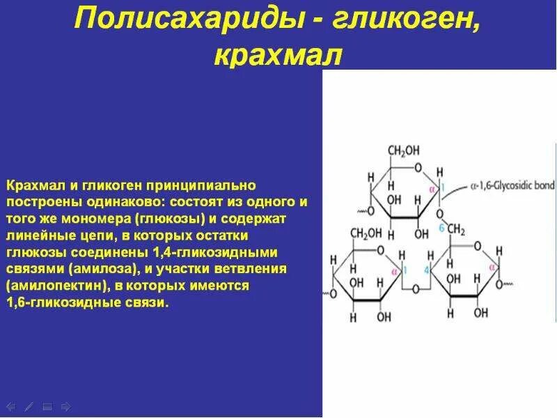 Строение молекулы крахмала и целлюлозы. Строение крахмала и гликогена. Полисахариды крахмал гликоген Целлюлоза. Полисахариды биохимия формула. Гликоген полисахарид формула.