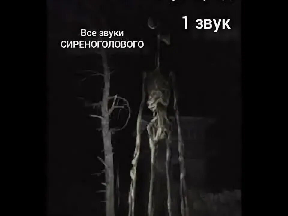 Сиреноголовый цветные. Сиреноголовый легенда монстр. Сирена сиренаголовово. Сереноголовый звук. Сиреноголовый сайренхед.