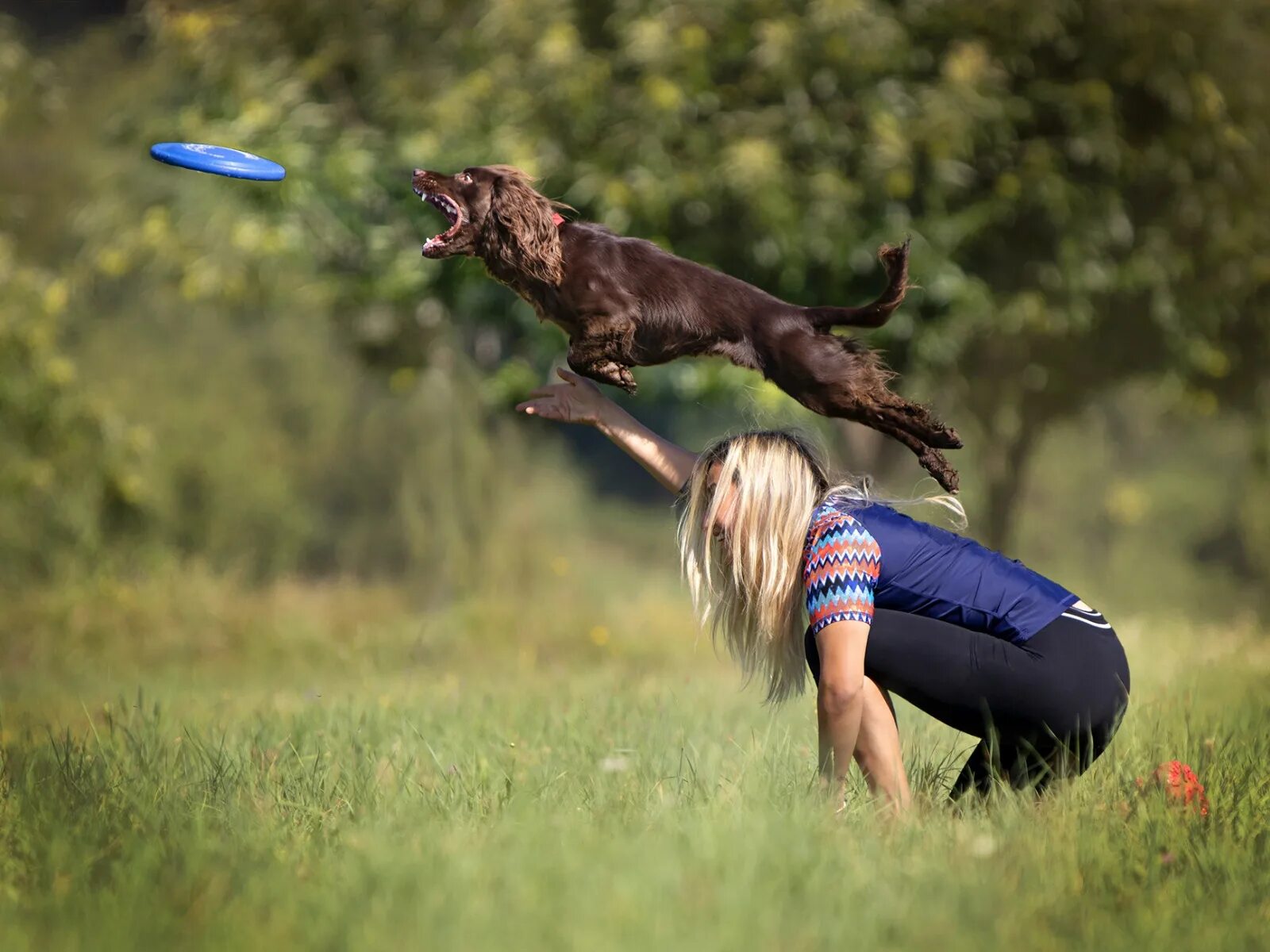 Tree jumping