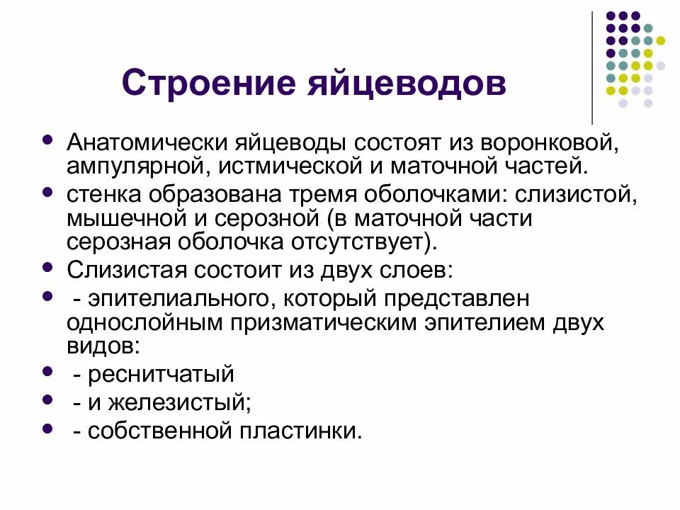 Функции мужской и женской половой системы. Морфофункциональная характеристика женских половых. Морфофункциональная характеристика женской половой системы. Таблица. Строение и функции органов женской половой системы. Морфофункциональная характеристика мужской половой системы.