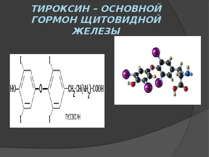 Тироксин гормон чего. Тироксин гормон чего