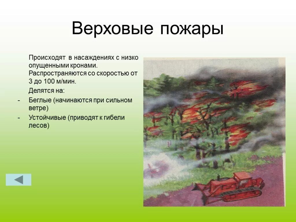 Верховой пожар сдо ржд. Верховой пожар скорость. Скорость распространения верхового пожара. Скорость распространения огня в лесу. Скорость распространения пожара в лесу.