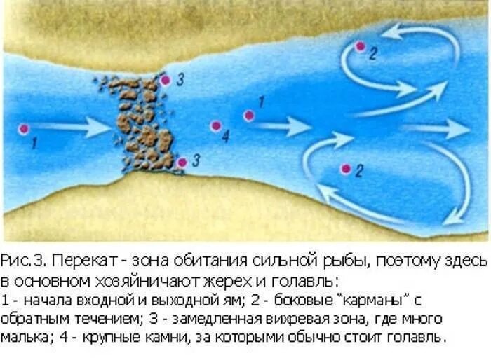 Направление течения и давления рыбы определяют. Места ловли на реке. Подводные ямы на реке. Река яма. Перспективные места на реке.