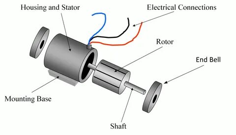 Phase motor