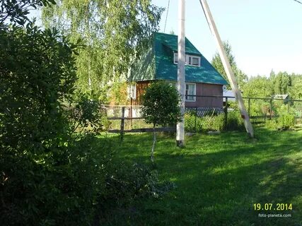 Погода туголесский бор