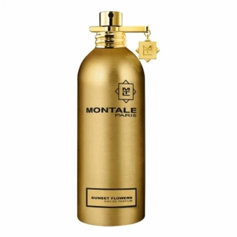 Montale Red Vetyver. Монталь ред ветивер мужские. Montale Paris духи. Montale Paris 100ml. Montale 100ml