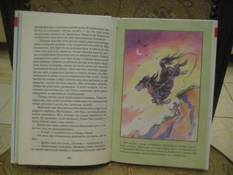Читать иноходец 1. Мустанг-иноходец книга. рассказ о мустанге. черный иноходец книга.