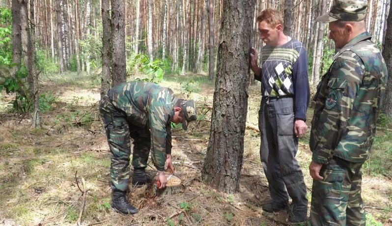 Инспекция по охране окружающей среды. Государственный инспектор в области охраны окружающей среды. Сайт инспекции охраны