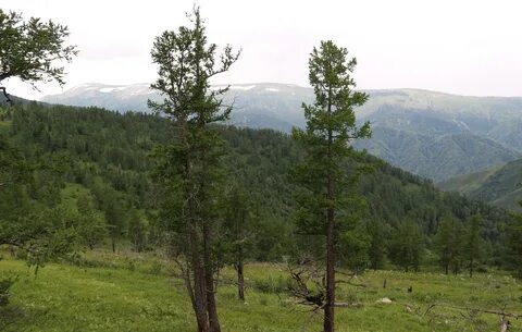 Простор казахстан