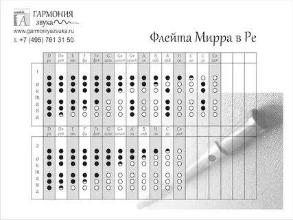 Флейта ре