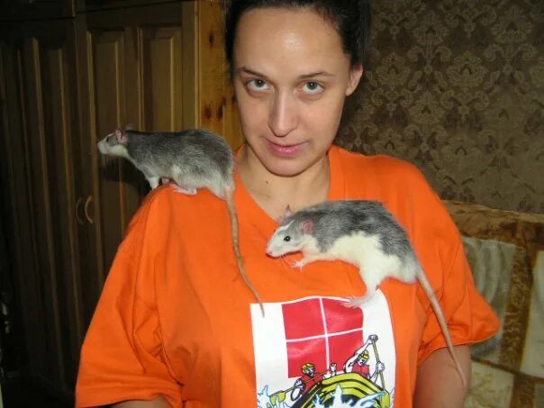 Крысята мальчики. Парень с крысой. Парень крысу. Парень крысу. Декоративная крыса мальчик.