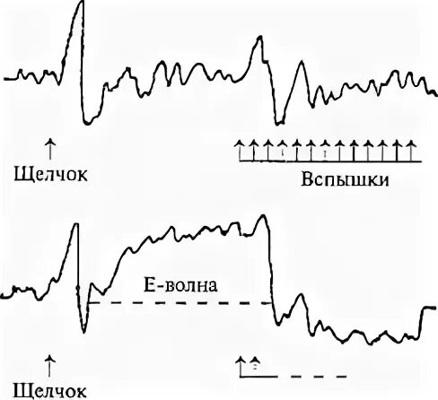 Е волна