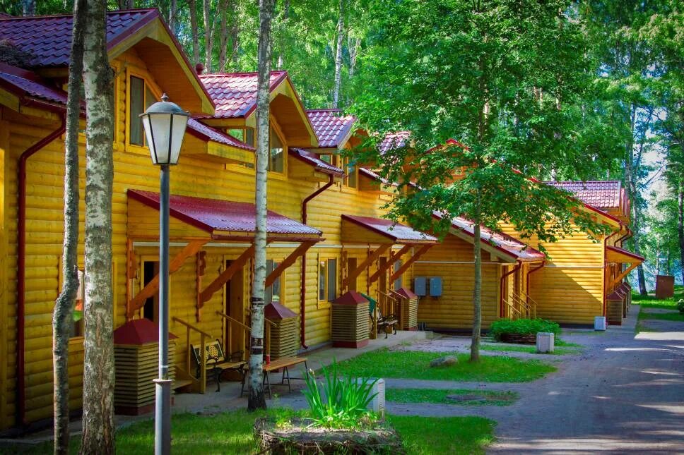 Отель для отдыха с детьми ленинградская область. Лес резорт дорохово. Загородный комплекс для отдыха с детьми. Райвола загородный отель в рощино. Отель для отдыха с детьми ленинградская область.