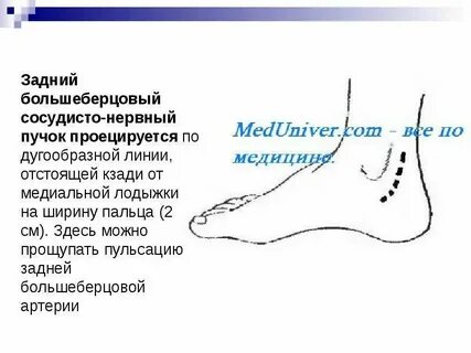 Пульс у лодыжки