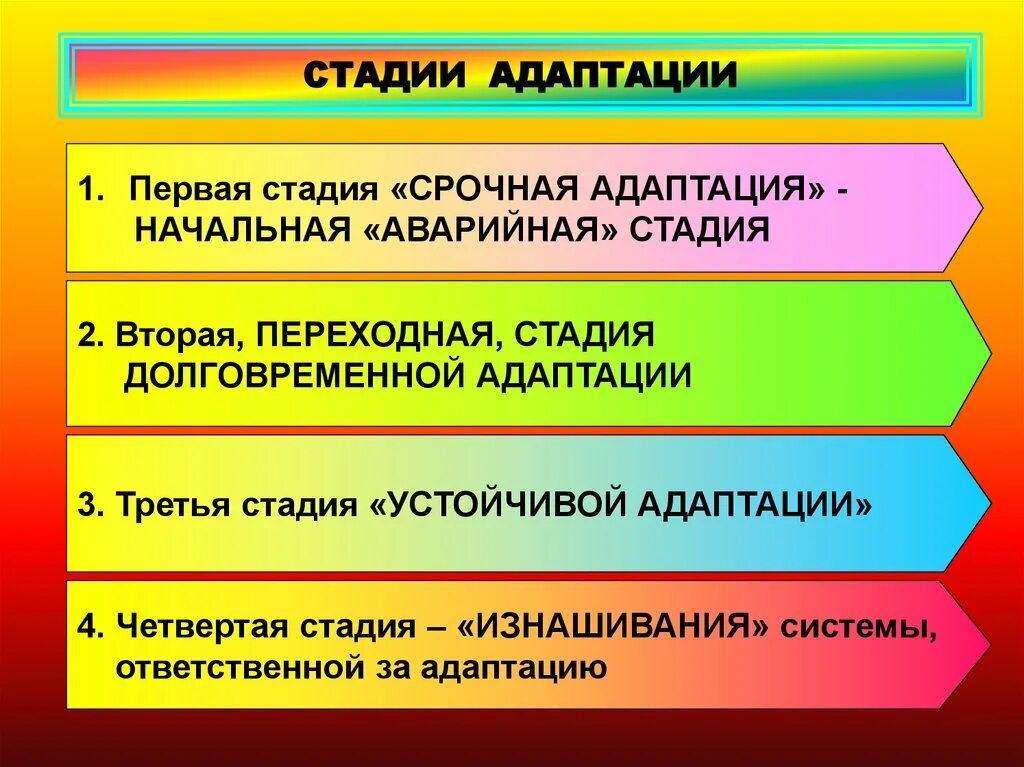 Укажите стадии адаптации. Стадии адаптации. Этапы формирования адаптаций. Стадии срочной адаптации. Начальная фаза адаптации.