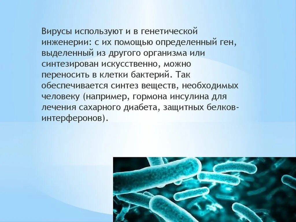 Вирусов в природе и жизни человека. . Генетическая инженерия бактерий (инсулин. Интерфероны. Гормон роста). Вирусы в генной инженерии. Генетическая инженерия бактерий. Генетический вирус это.