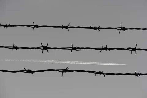 Barbed wire