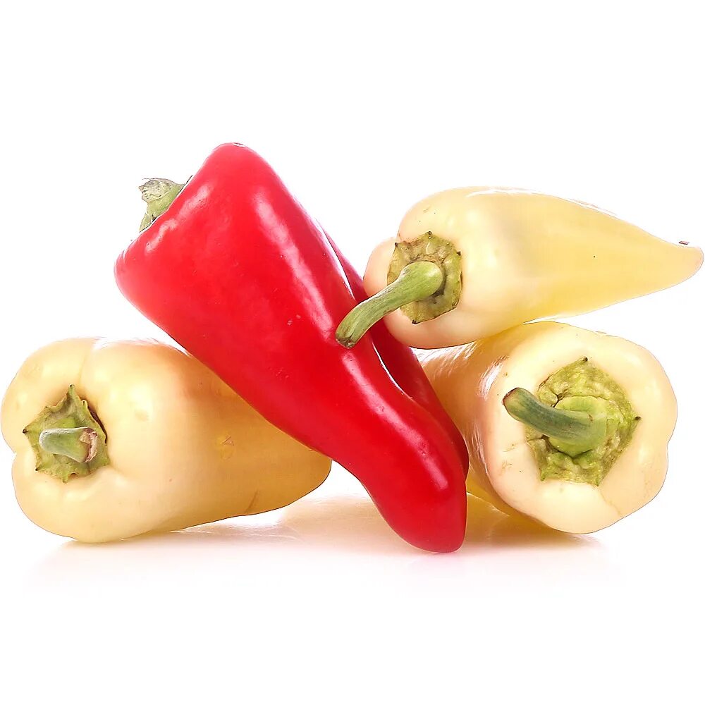 Свежий перец добавлять. Перец ратунда оранжевая. Цвета болгарского перца. Болгарский капсикум перец. Перец узбекский.