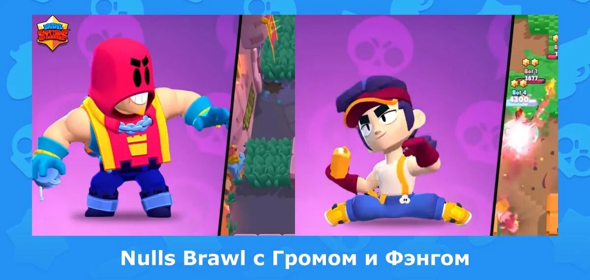 Null s gg