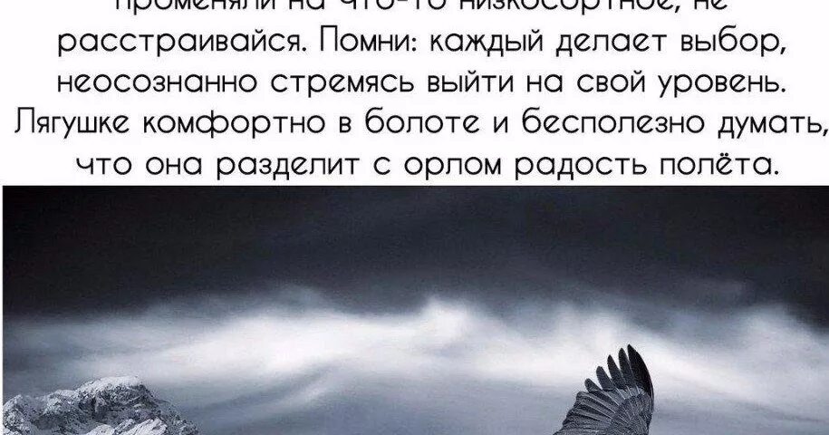 Выбирайте людей своего уровня. Цитаты про мечты. Никогда не спорьте с идиотами!. Не обижай любимых никогда. Если твою дружбу твою.