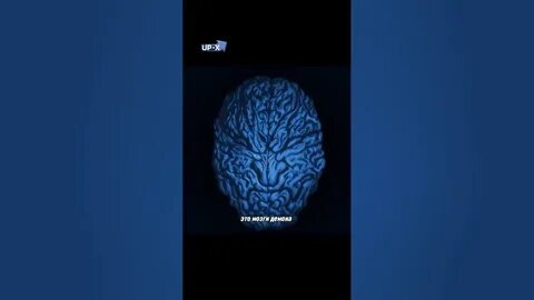 Demon brain
