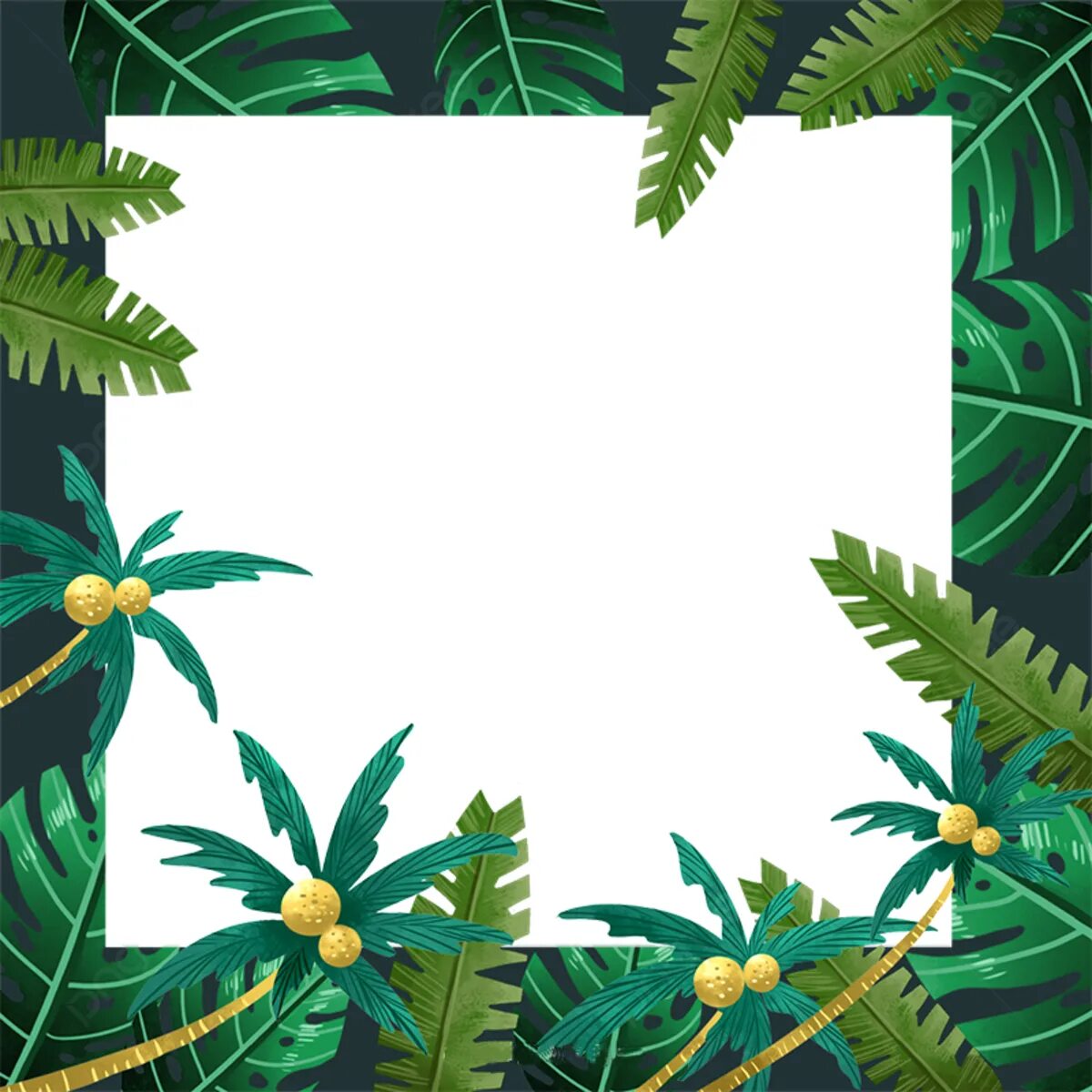 рамка тропики. рамка тропики. рамка тропики. рамка тропические цветы. тропические листья рамка.