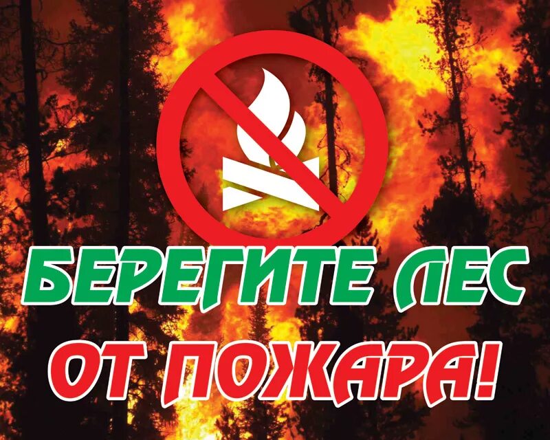 Пожар в лесу. Осторожно с огнем в лесу. Пожарная безопасность леса. Аншлаг пожарная безопасность в лесу. Включи без огнем