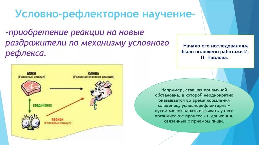 Условно-рефлекторная концепция научения. Условно-рефлекторное научение пример. Условно-рефлекторное переключение пример. Условно рефлекторная теория. В результате чего условный рефлекс угасает