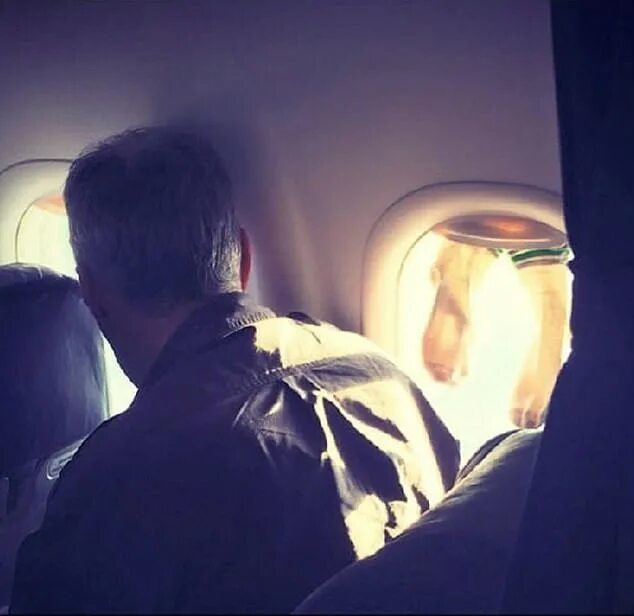 Мусульманин в самолете. Мужчина в самолете. Парень в самолете. Бизнесмен в самолете. Парень сидит у окна самолета.