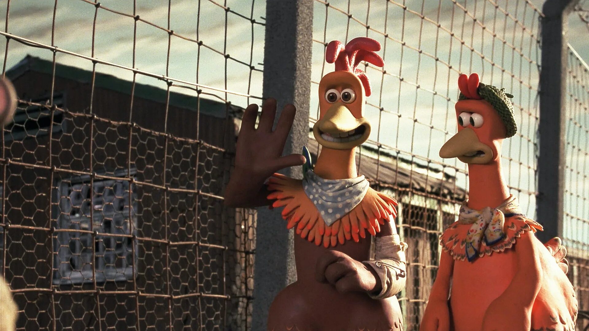 Chicken run 2025