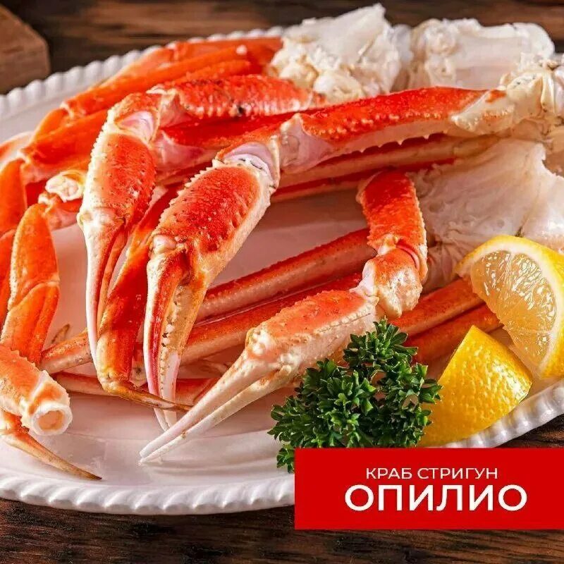 Краб опилио что это. Краб опилио что это