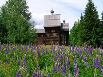 Хохловка пермский