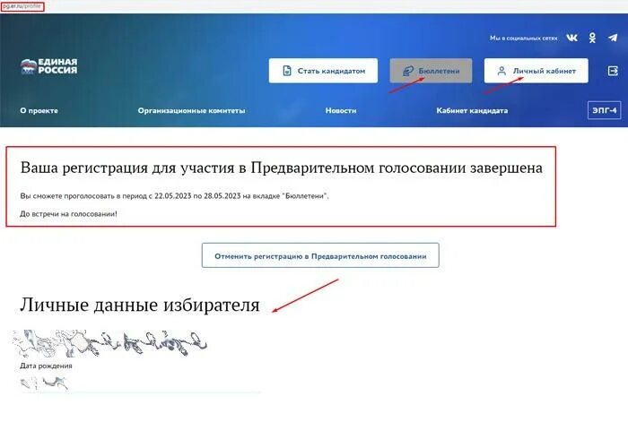 Как проголосовать через личный кабинет. Скриншот голосования в госуслугах. Скрин регистрации на голосование. Скриншот предварительного голосования. Скриншот электронного голосования.