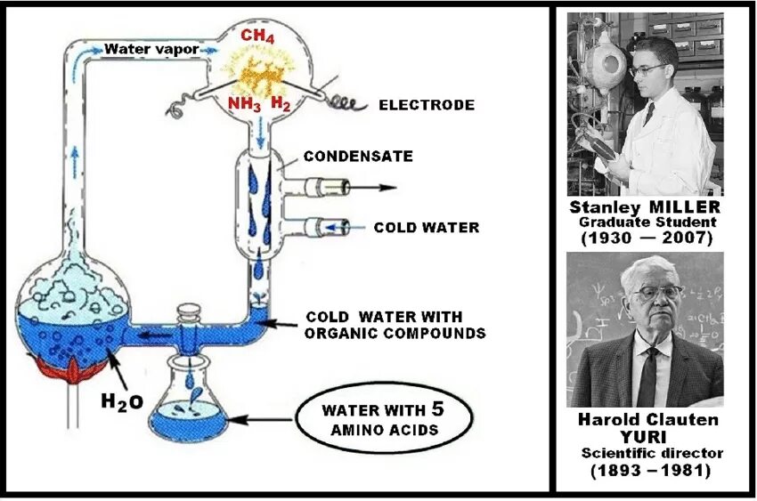 Эксперимент Стэнли Миллера. Стэнли Миллер опыт. Miller urey Experiment. Эксперимент Миллера - Юри. Опыты миллера доказали