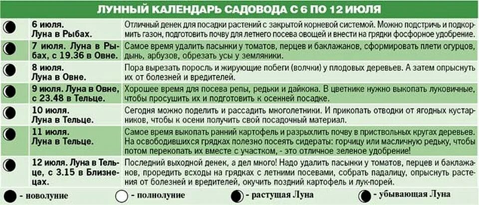 Обрезка деревьев по лунному календарю 2024. Обрезка деревьев по лунному календарю. Календарь обрезки деревьев. Календарь обрезки плодовых деревьев. Лунный календарь обрезка деревьев.