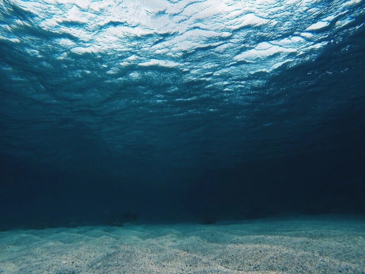 В глубь океана. Дно океана. Морское дно. Дно моря. Под водой.