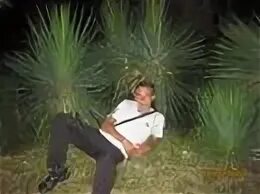 Медицинский факультет. Рниму им пирогова стоматологический факультет. Кафедра анатомии иваново. Четвертков рниму. Кафедра анатомии маркевич.