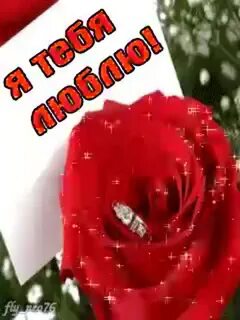 Сильно сильно гиф