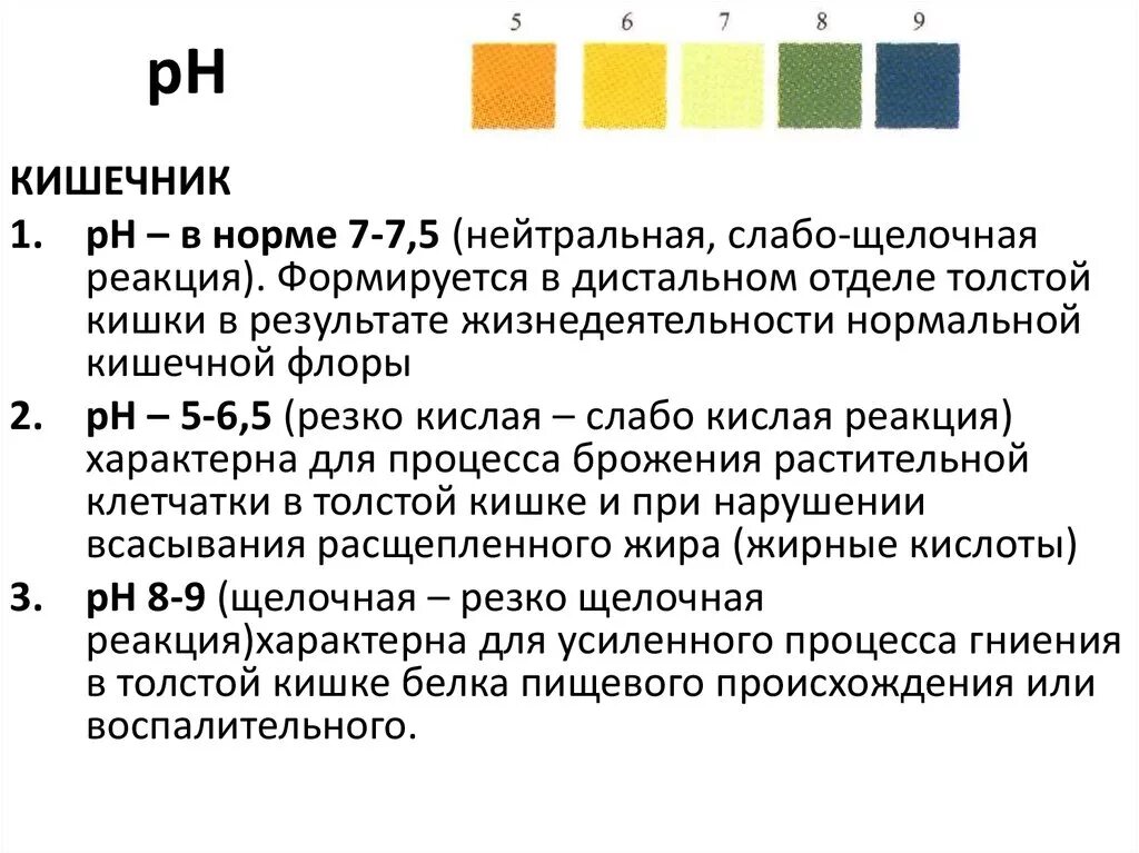 Что означает реакция мочи. PH 7.5 щелочная моча. Щелочной PH 9 анализ мочи. Реакция PH мочи в норме. Моча анализ PH 5.0.