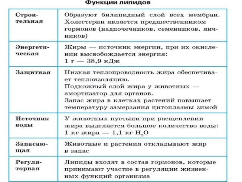 Биологические функции липидов в организме. Функции жиров биология 9 класс таблица. Функции жиров схема. Функции жиров в организме человека таблица. Функции жиров в организме человека кратко.